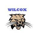 Wilcox Academy