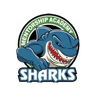 Helix Mentorship Academy