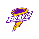 Purvis
