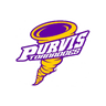 Purvis