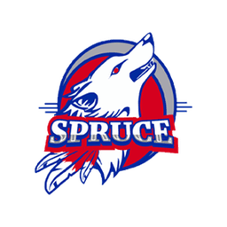 Dallas Spruce