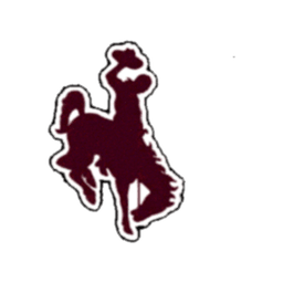 Detroit Western