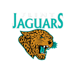 International Academy of Flint